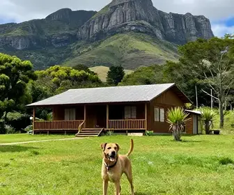 As Melhores Pousadas Pet Friendly na Serra do Cipó