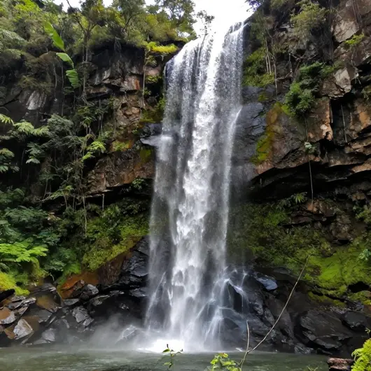 Cachoeira do Rapel: Um Paraíso Natural