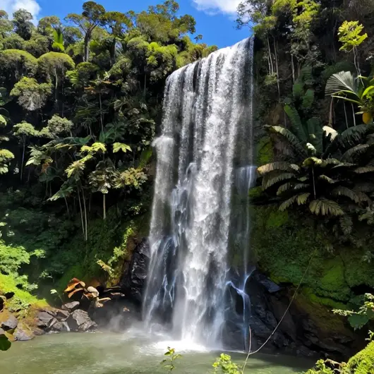 Descubra a Beleza da Cachoeira das Araras