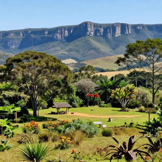 Descubra a Fazenda do Cipó: Um Refúgio na Natureza