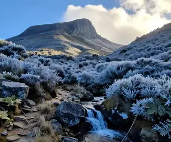 Descubra a Serra do Cipó no Inverno: O Melhor da Natureza e Aventura