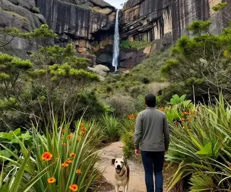 Explorando a Serra do Cipó: Dicas para Viajar com Seu Cachorro