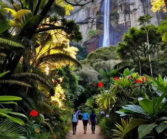 Explorando a Trilha da Cachoeira da Farofa na Serra do Cipó