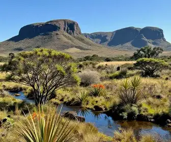 Explorando o Cerrado na Serra do Cipó: Natureza e Beleza em Minas Gerais Explorando o Cerrado na Serra do Cipó: Natureza e Beleza em Minas Gerais