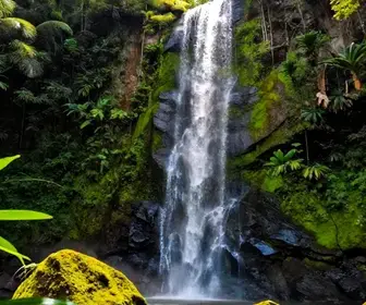 Explore a Belleza da Cachoeira do Gavião na Serra do Cipó