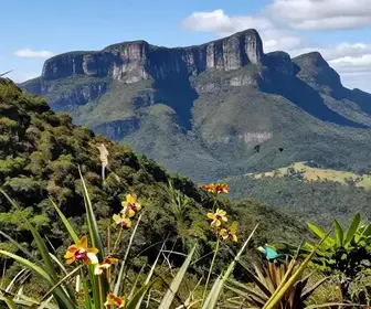 Guia atualizado: 20 lugares imperdíveis na Serra do Cipó Guia atualizado: 20 lugares imperdíveis na Serra do Cipó